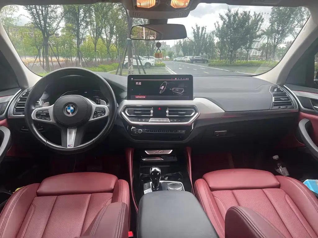 BMW X4 — миниатюра 10
