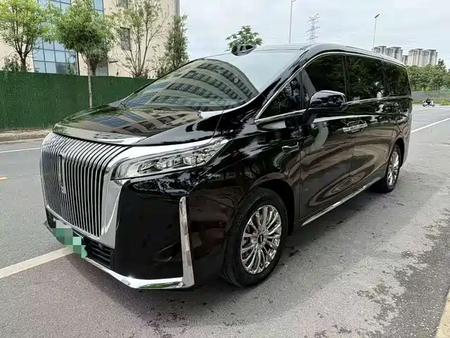 2025 Wey Gaoshan