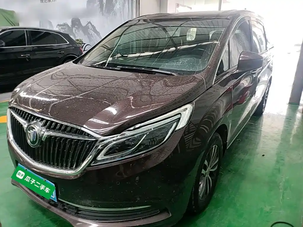 Buick GL8 — миниатюра 2