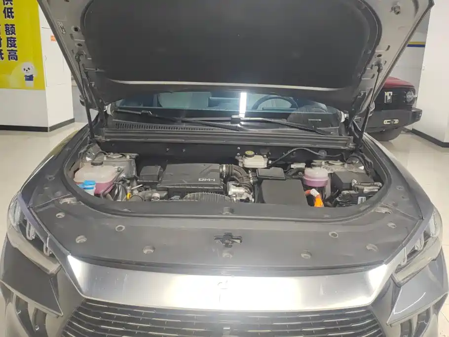 BYD Pro New Energy — миниатюра 10