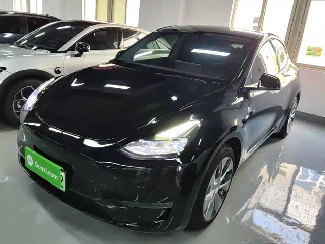 Tesla Model