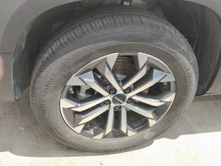 Haval Big Dog — миниатюра 6