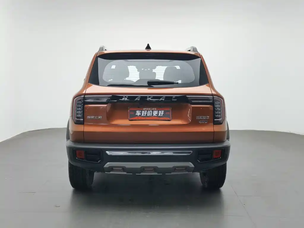Haval Big Dog — миниатюра 4