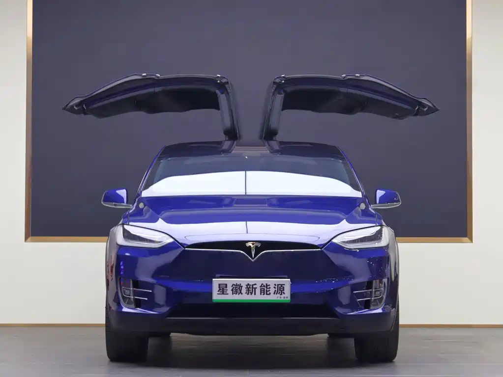 TESLA MODEL X