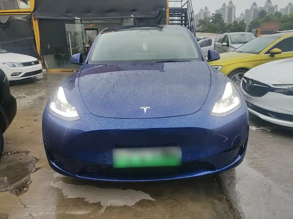 Tesla Model Y — миниатюра 3