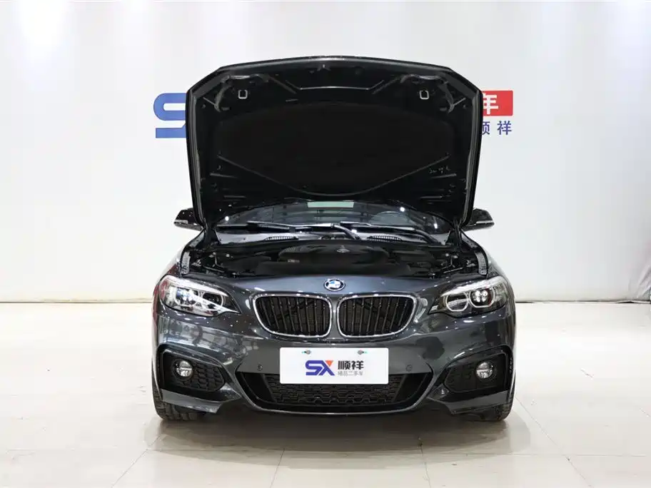 BMW 2 SERIES