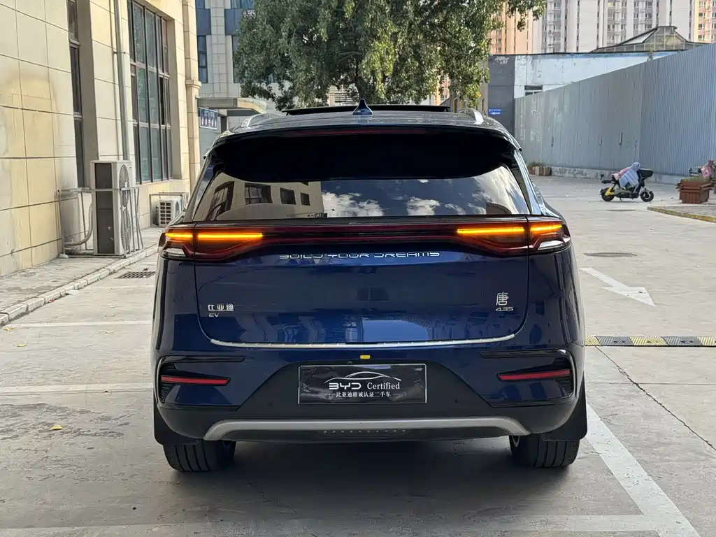 BYD Tang New Energy — миниатюра 11