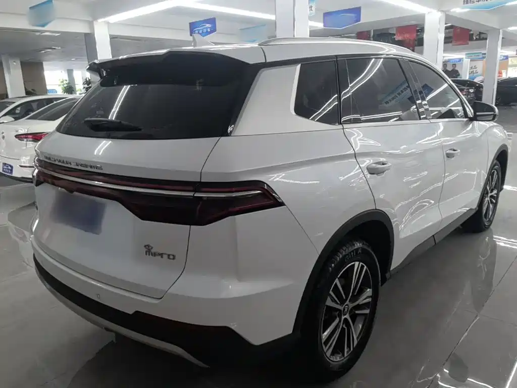BYD Pro — миниатюра 7