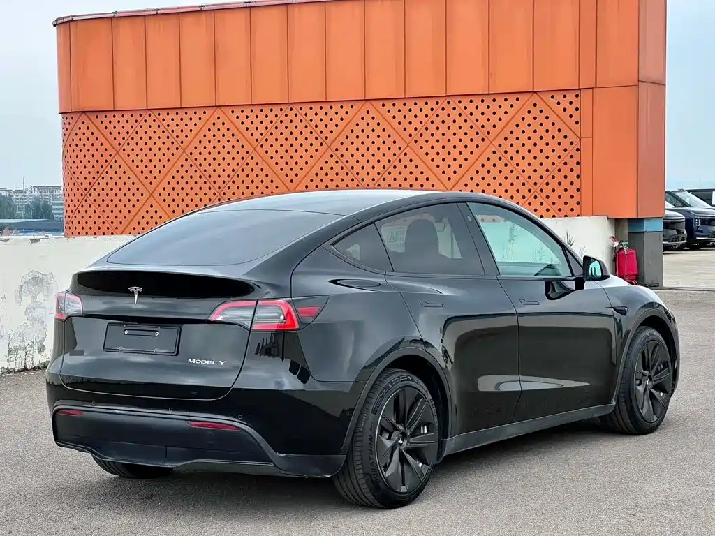 Tesla Model Y — миниатюра 3