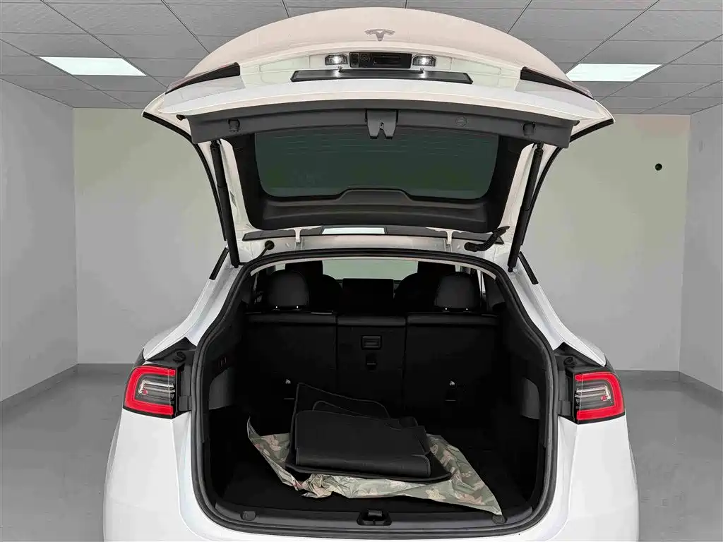 Tesla Model Y — миниатюра 16
