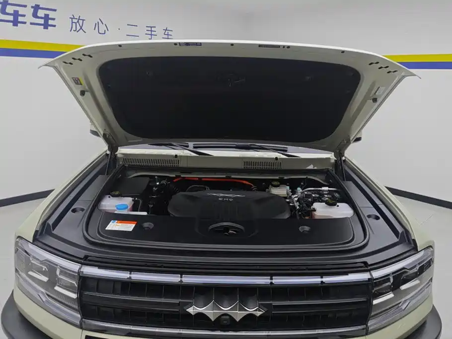 Fang Cheng Bao Leopard 5 — миниатюра 10