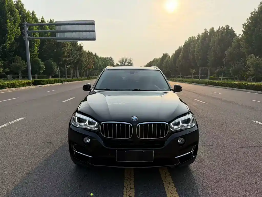 BMW X5 (Import) — миниатюра 2