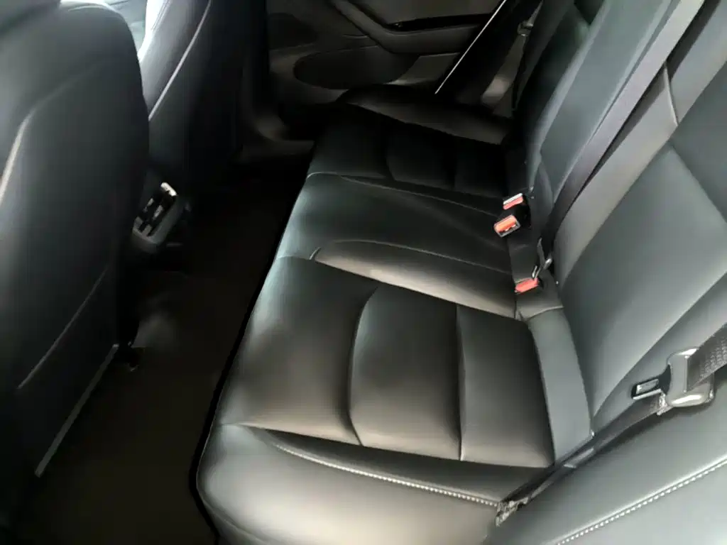 Tesla Model 3 — миниатюра 17