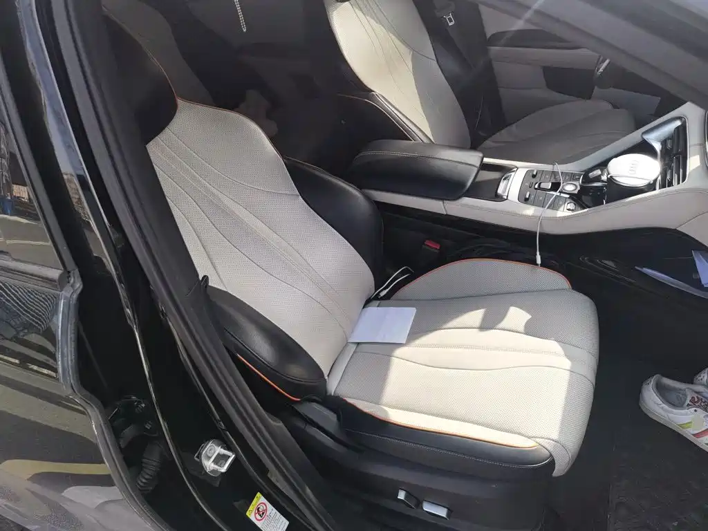 BYD PLUS New Energy — миниатюра 19