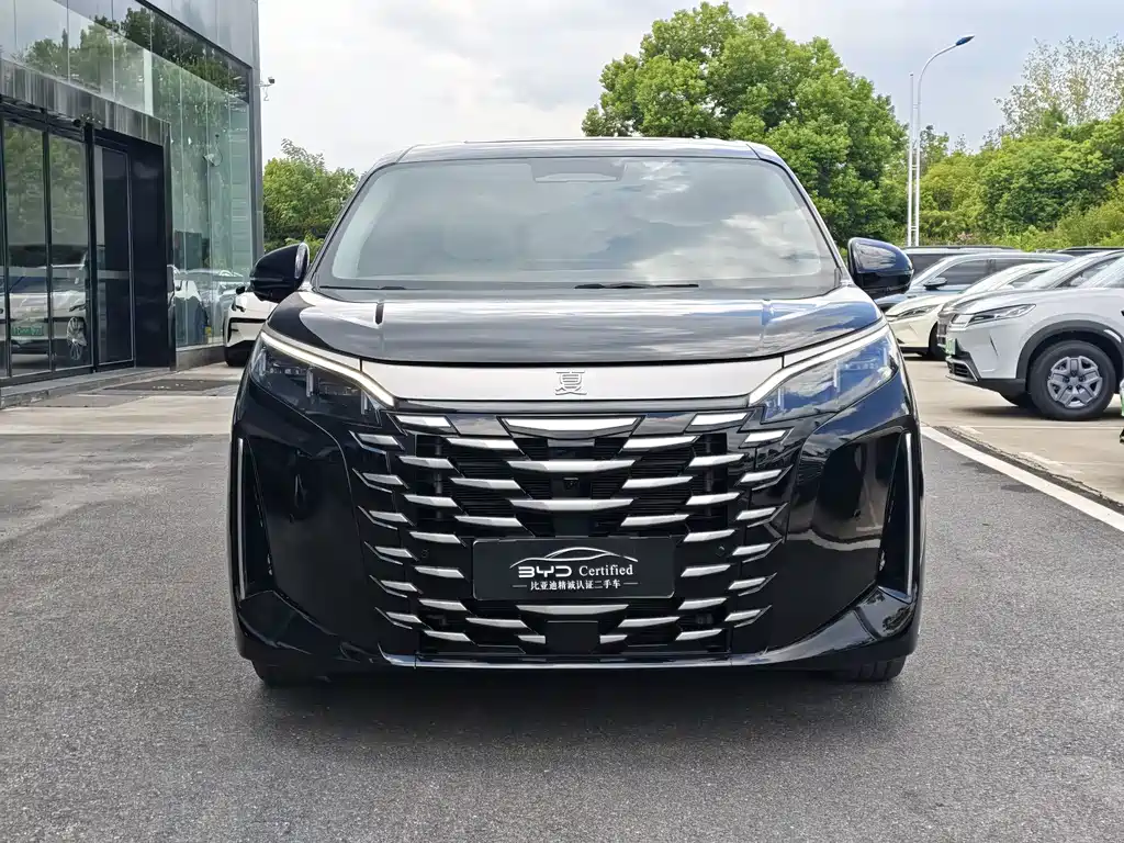 BYD Xia — миниатюра 2