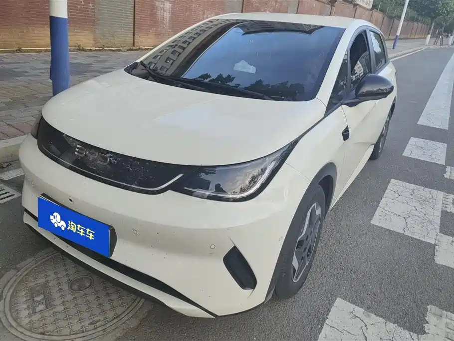 Byd Dolphin 2026