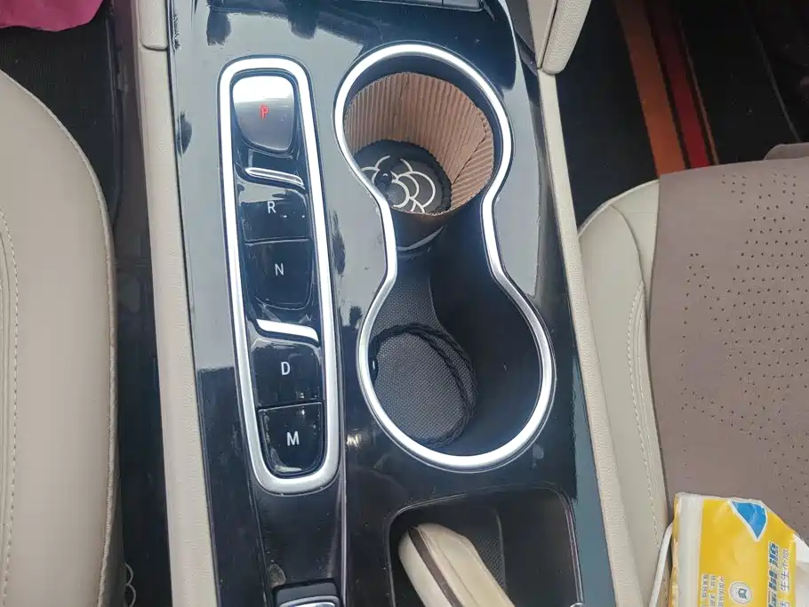 Buick Regal — миниатюра 16