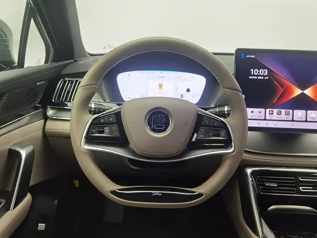 BYD Tang New Energy — миниатюра 11