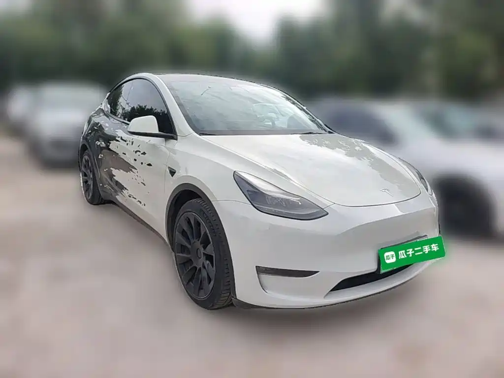 Tesla Model Y — миниатюра 6