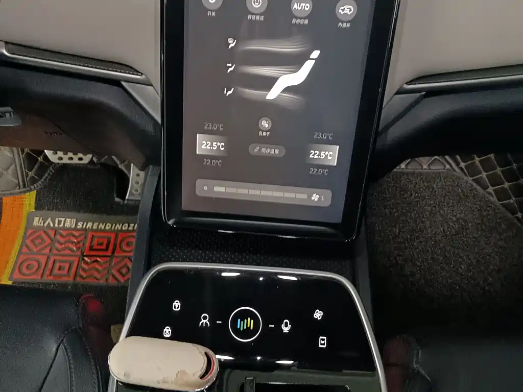 Weltmeister WEIMA EX5