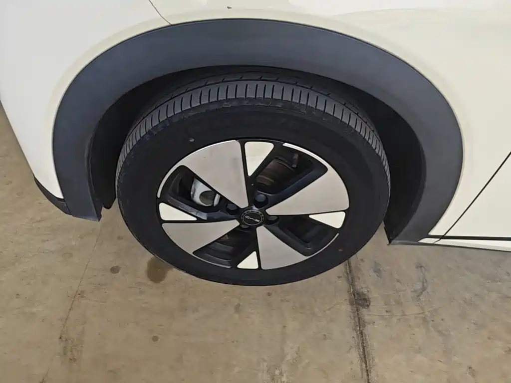 BYD Dolphin — миниатюра 23