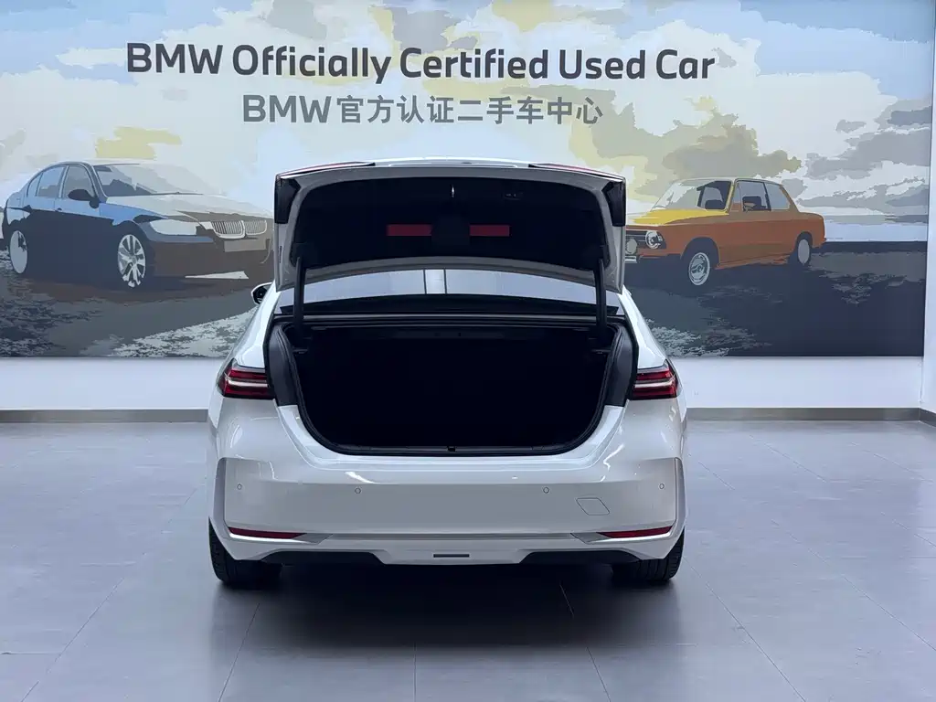 BMW 5 Series 5 2024 530Li Lead Luxury