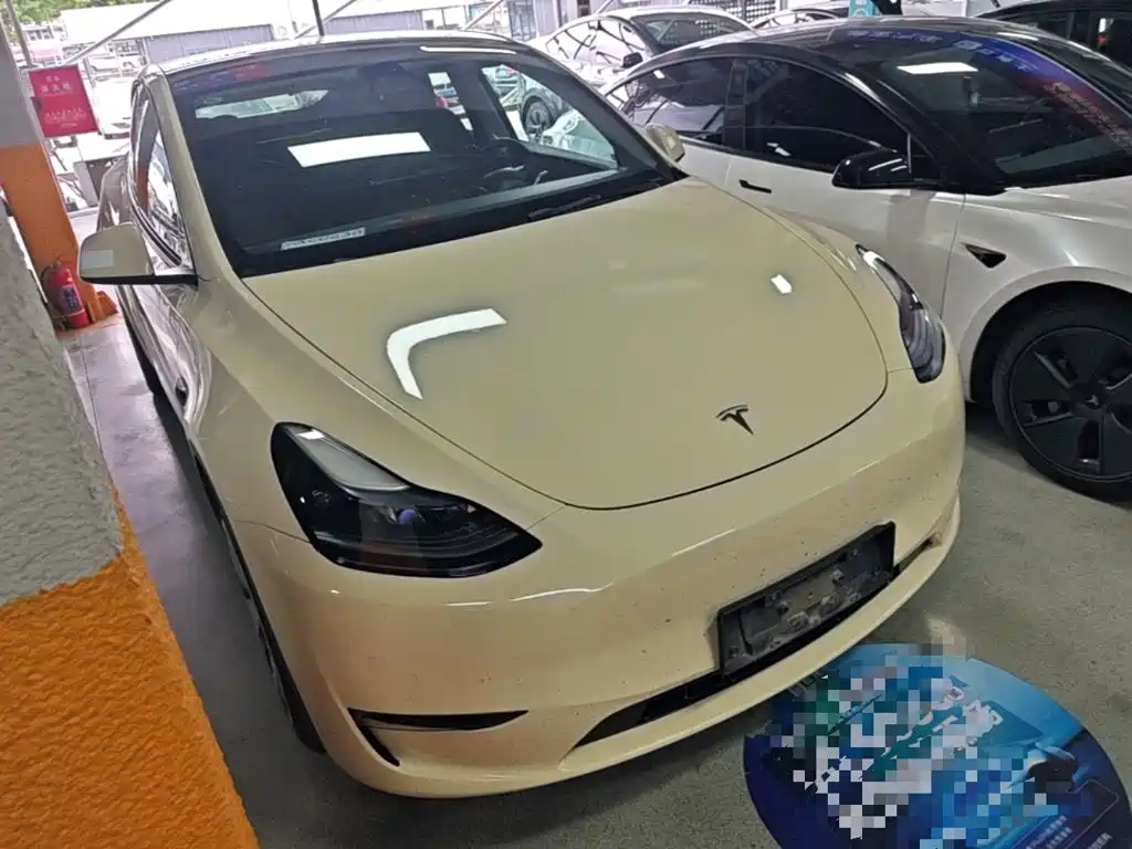 Tesla Model Y — миниатюра 4