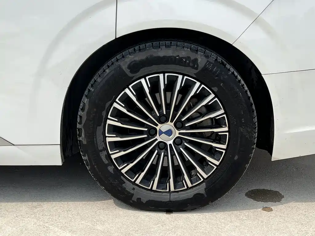 Denza Denza D9 — миниатюра 16