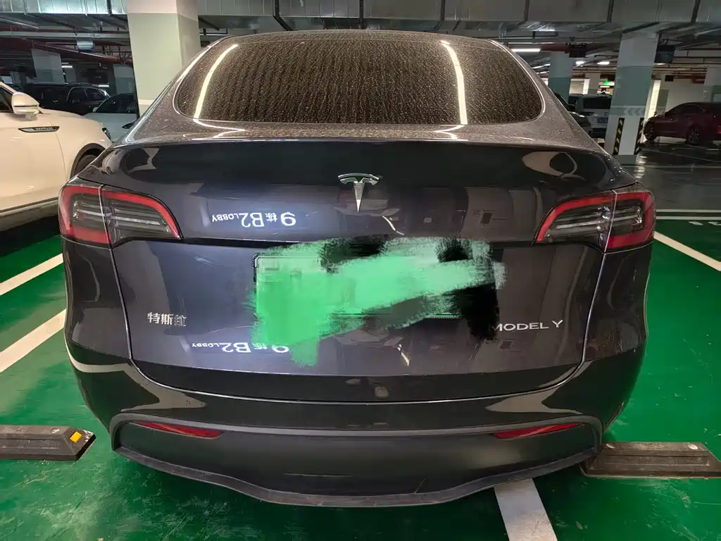 Tesla Model Y — миниатюра 5