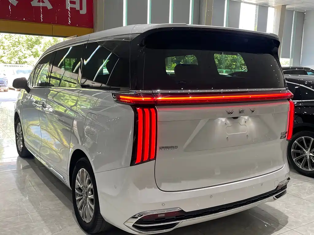 Wey Gaoshan New Energy 4WD Flagship Edition, фото 7