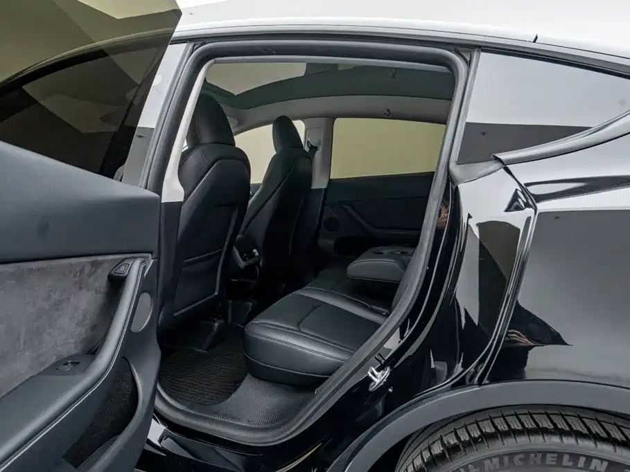 Tesla Model Y — миниатюра 19