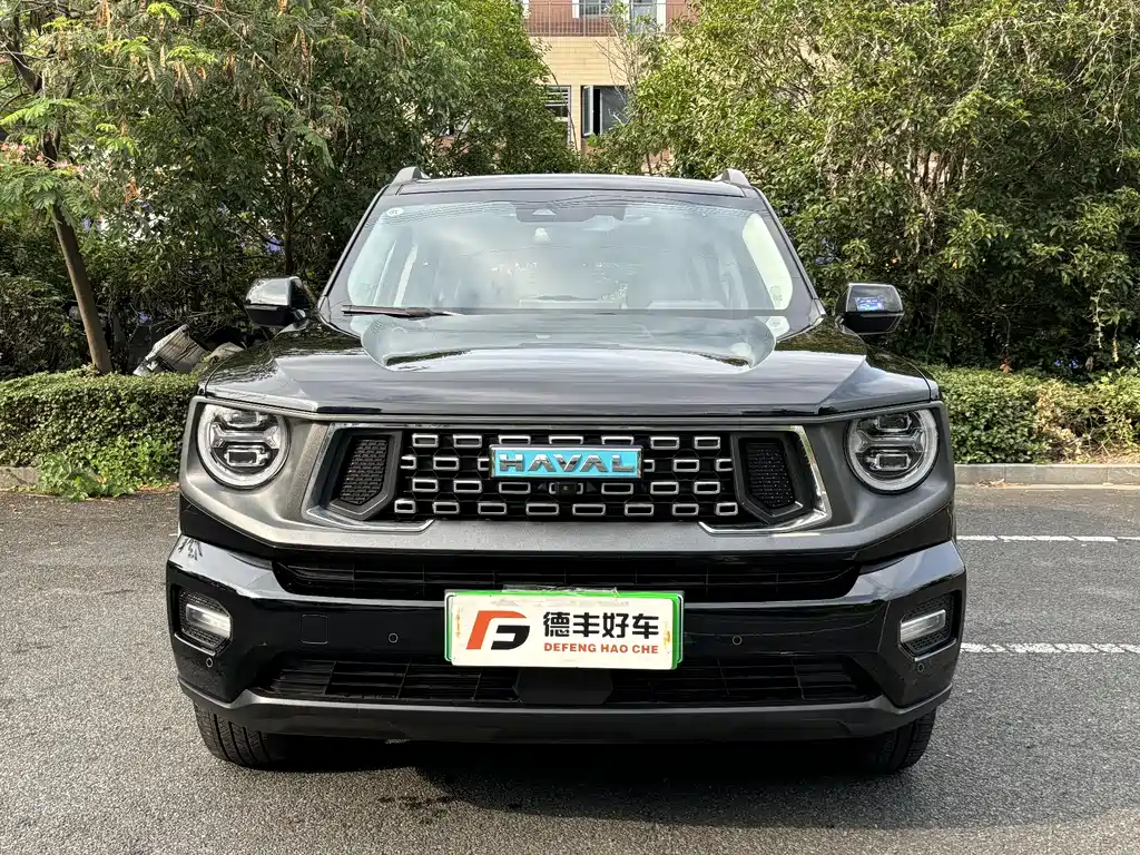 HAVAL SECOND GENERATION BIG DOG NEW ENERGY