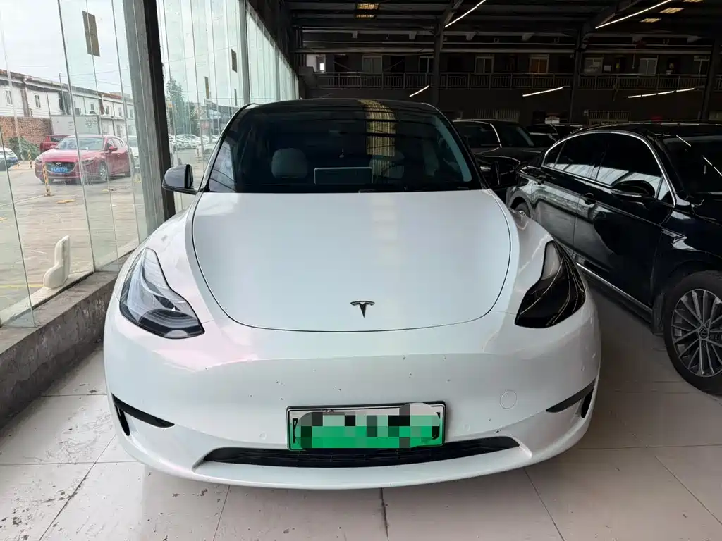 Tesla Model Y — миниатюра 2