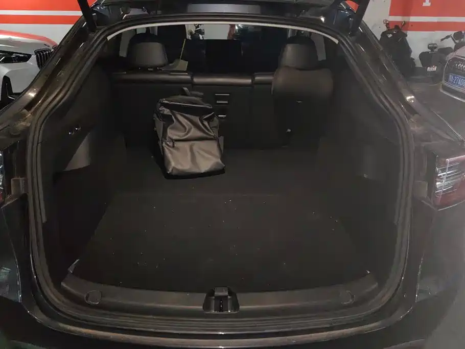 Tesla Model Y — миниатюра 4