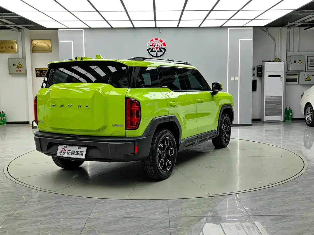 Haval Cool Dog — миниатюра 16