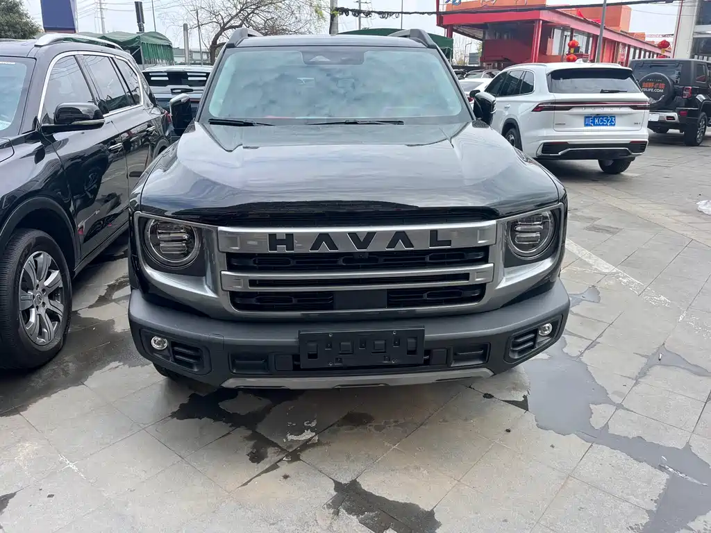 HAVAL BIG DOG