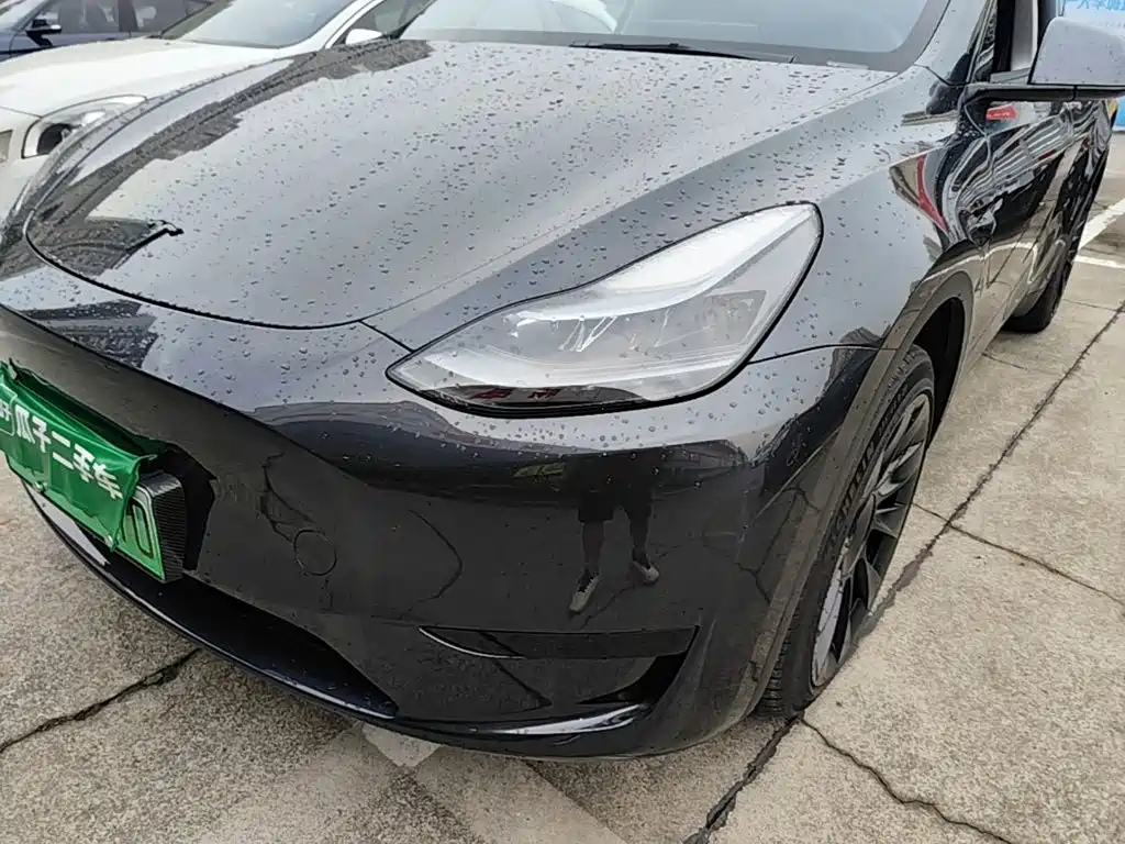 Tesla Model Y — миниатюра 24