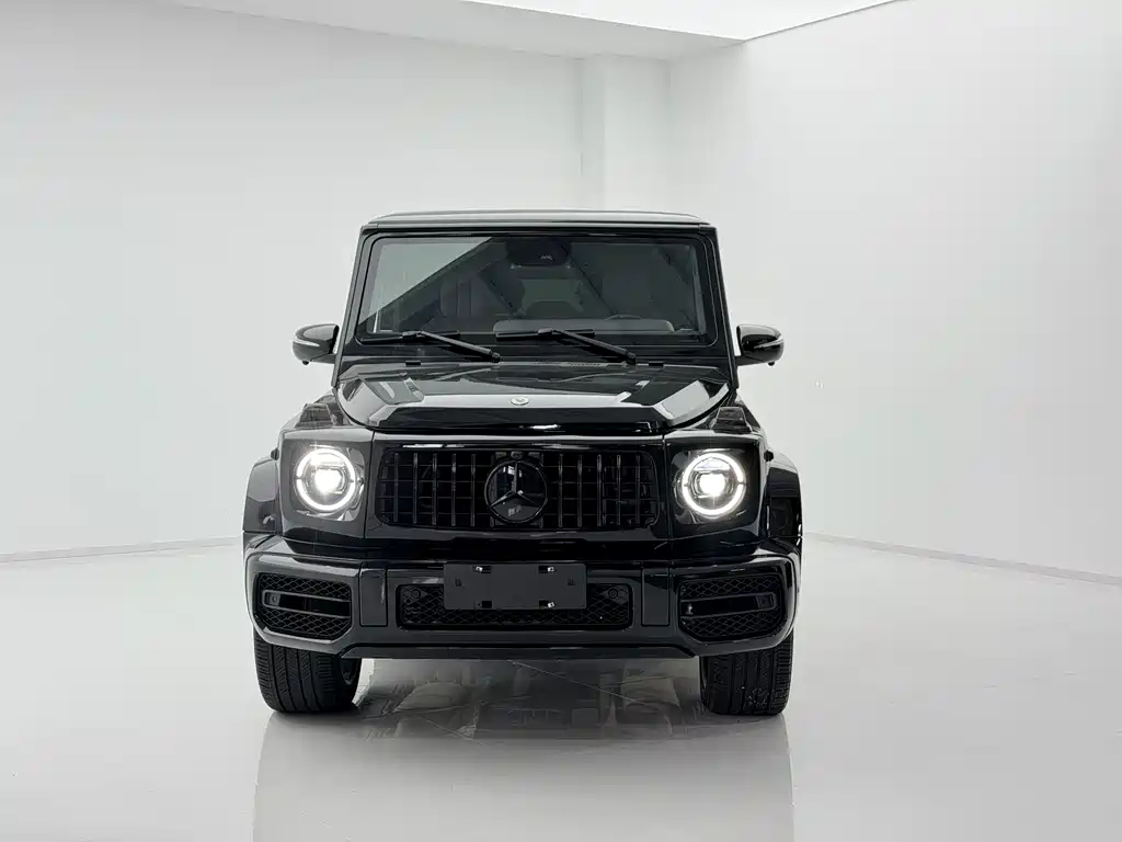 Mercedes-Benz G-Class G 2010 G 500