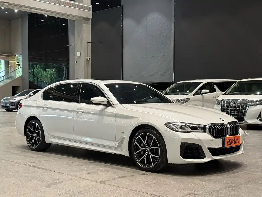 BMW 5 SERIES