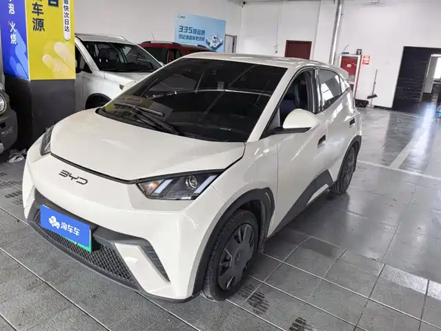 BYD Seagull