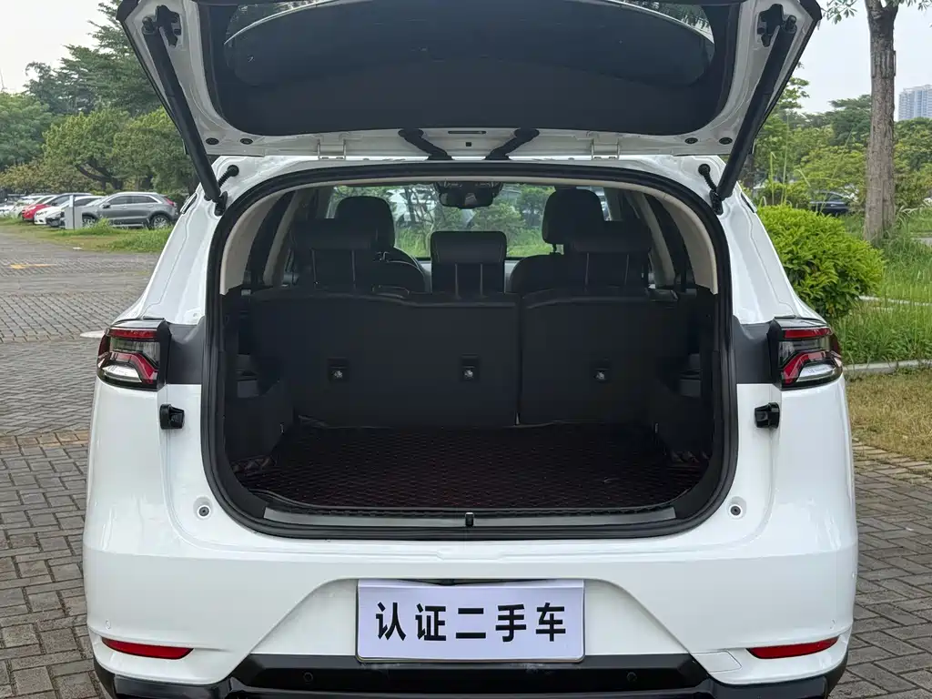 BYD Tang 2.0T Auto Connected Honorable Type 5 seats China VI, фото 11
