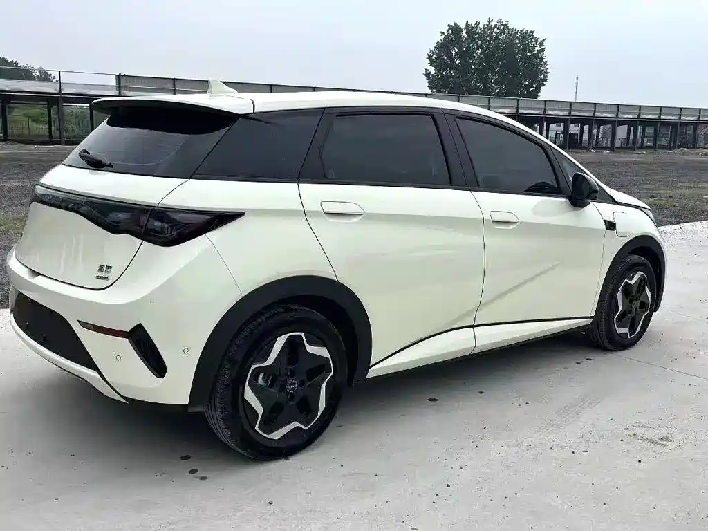 BYD Dolphin 2025 Smart Drive 420km Freedom