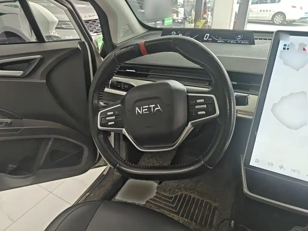 Neta Neta V — миниатюра 11