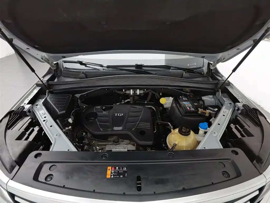 Roewe RX5 Max 2019 300TGI AT Luxury