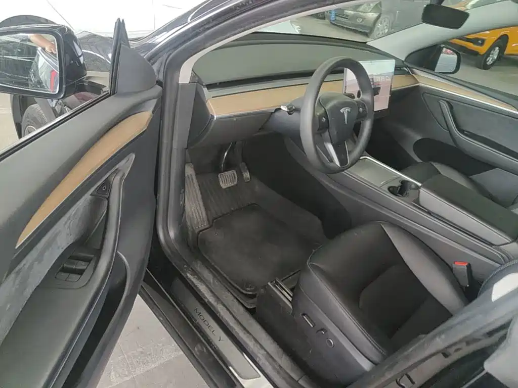 Tesla Model Y — миниатюра 16