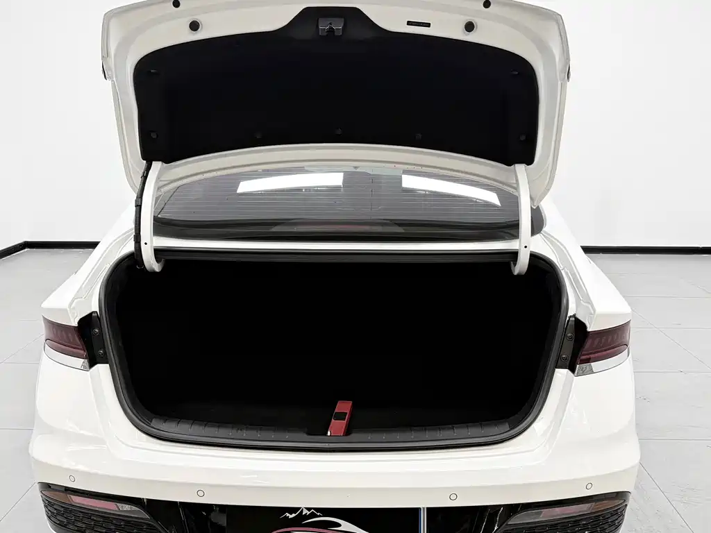 Hyundai Fista — миниатюра 14