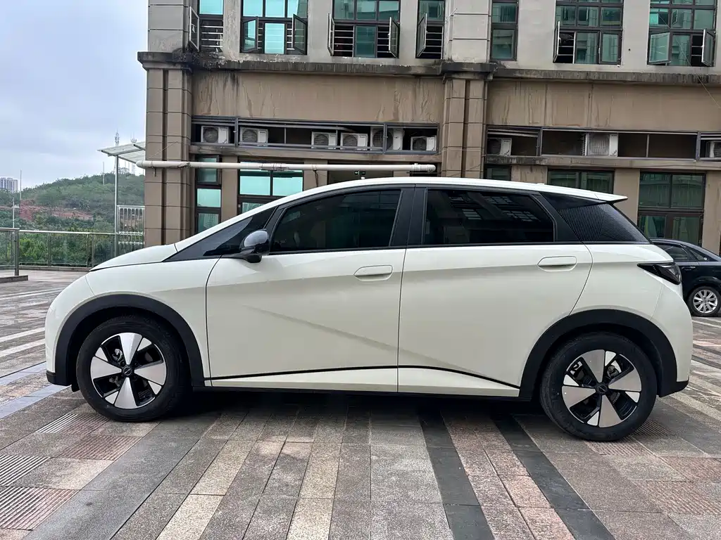 BYD Dolphin — миниатюра 3