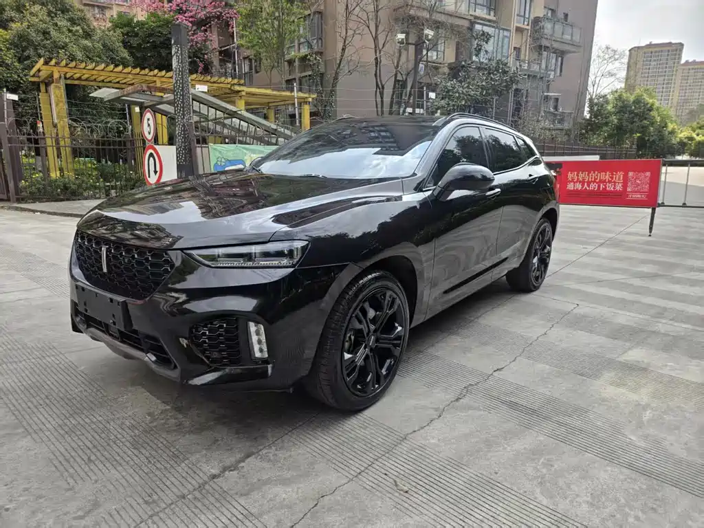 WEI PAI WEI BRAND VV7