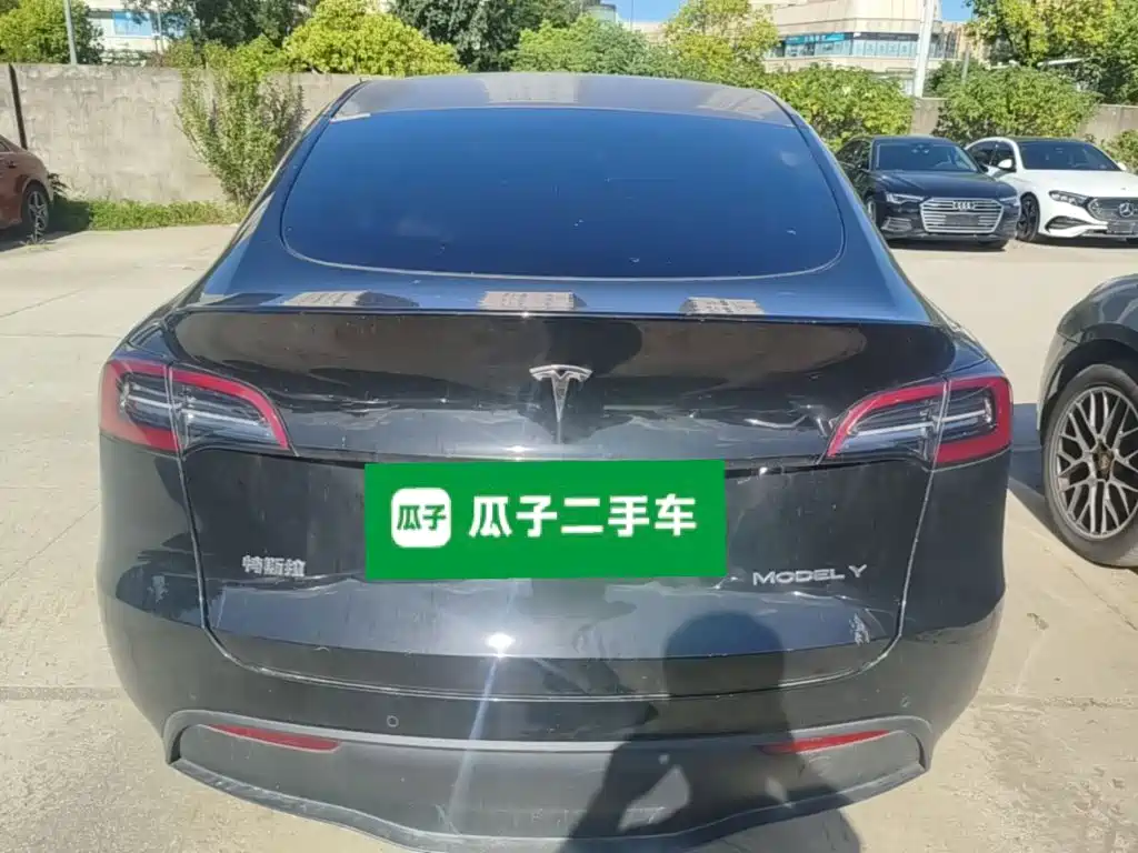 Tesla Model Y — миниатюра 6