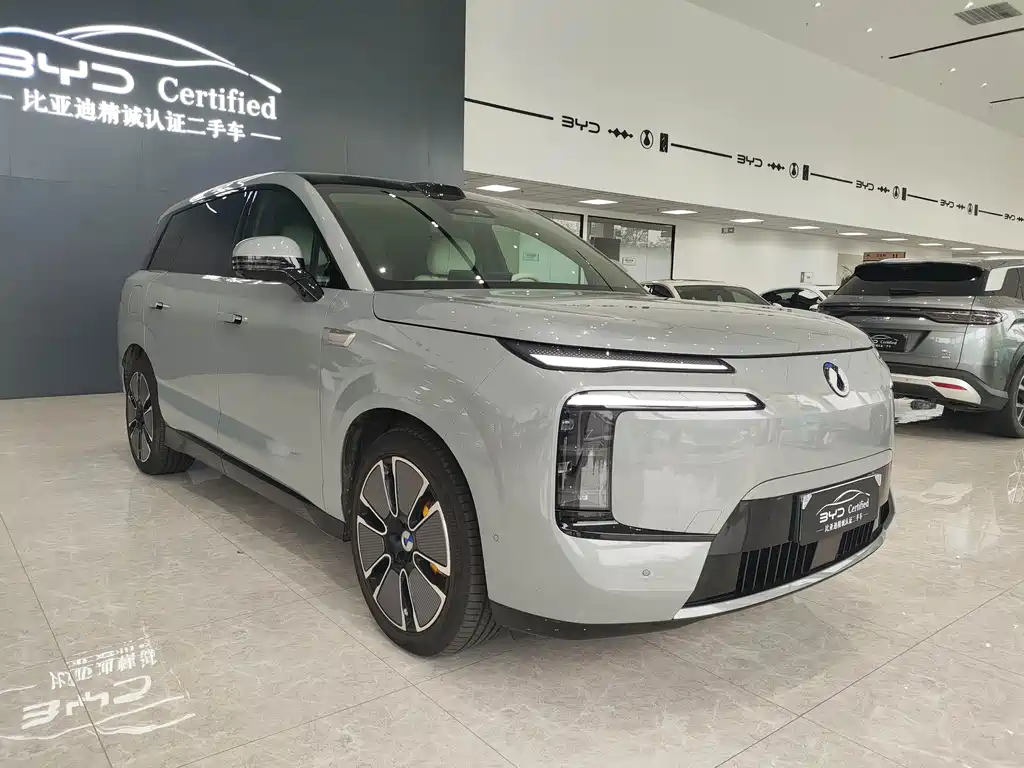 Denza Denza N8L — миниатюра 3